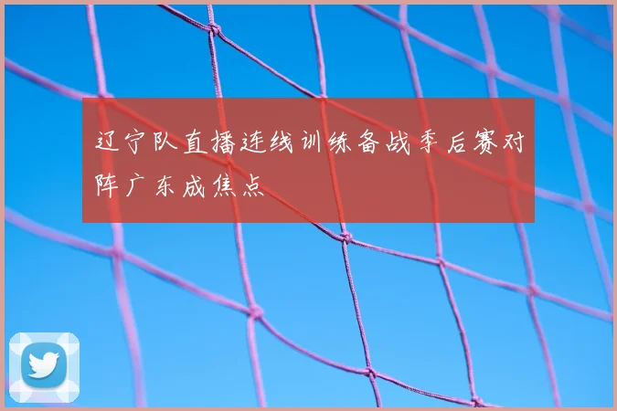 辽宁队直播连线训练备战季后赛对阵广东成焦点