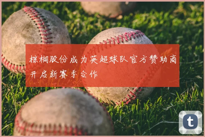 棕榈股份成为英超球队官方赞助商开启新赛季合作
