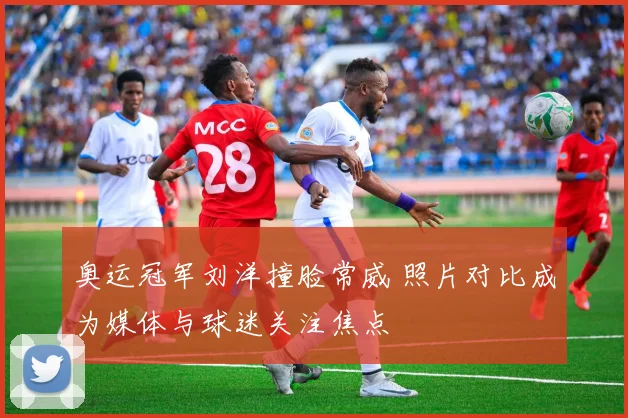奥运冠军刘洋撞脸常威 照片对比成为媒体与球迷关注焦点